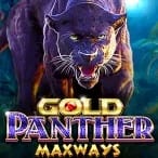 Gold Panther Maxways thumbnail